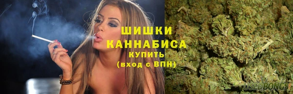 стаф Гусь-Хрустальный