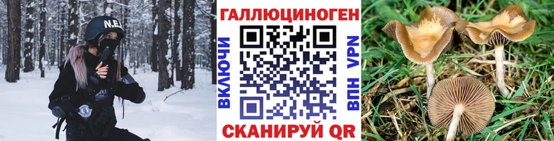Галлюциногенные грибы мухоморы Оленегорск